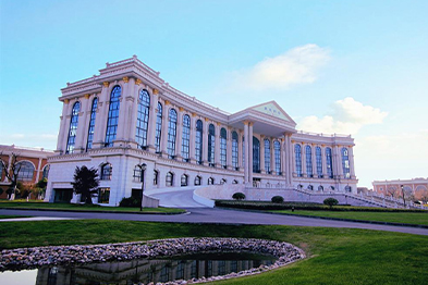 江蘇紫龍藥業有限公司